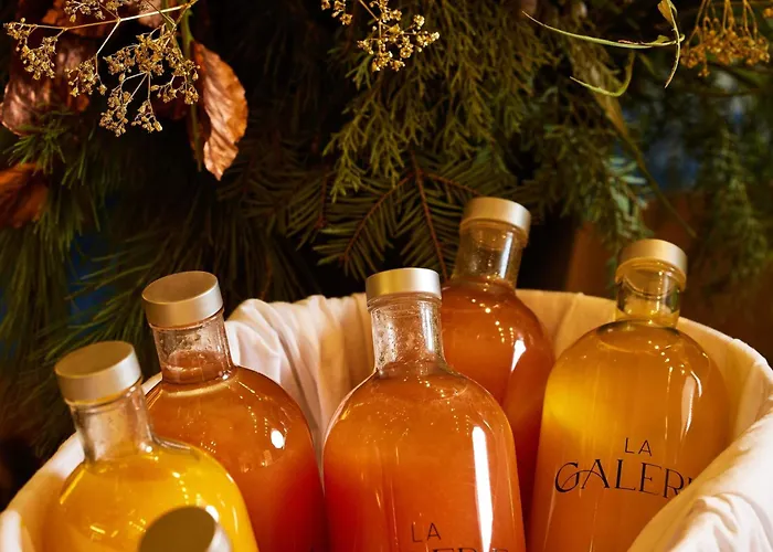 Ξενοδοχείο Cures Marines Thalasso & - Mgallery Collection Trouville-sur-Mer